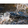 Тактический фонарь FENIX TK35 2018 CREE XHP35 HI NEUTRAL WHITE TK352018